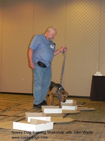 John Wade\'s CAPPDT trainers conference: Learning Nosey Dogs