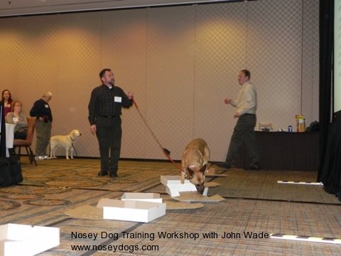 John Wade\'s CAPPDT trainers conference: Learning Nosey Dogs